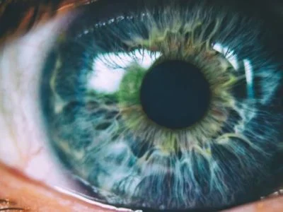 oeil